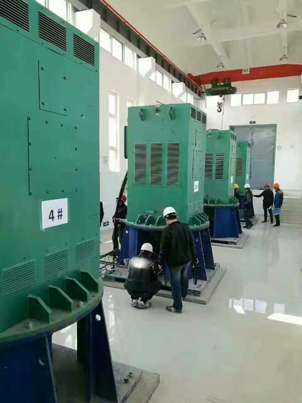 凤山某污水处理厂使用我厂的立式高压电机安装现场生产厂家